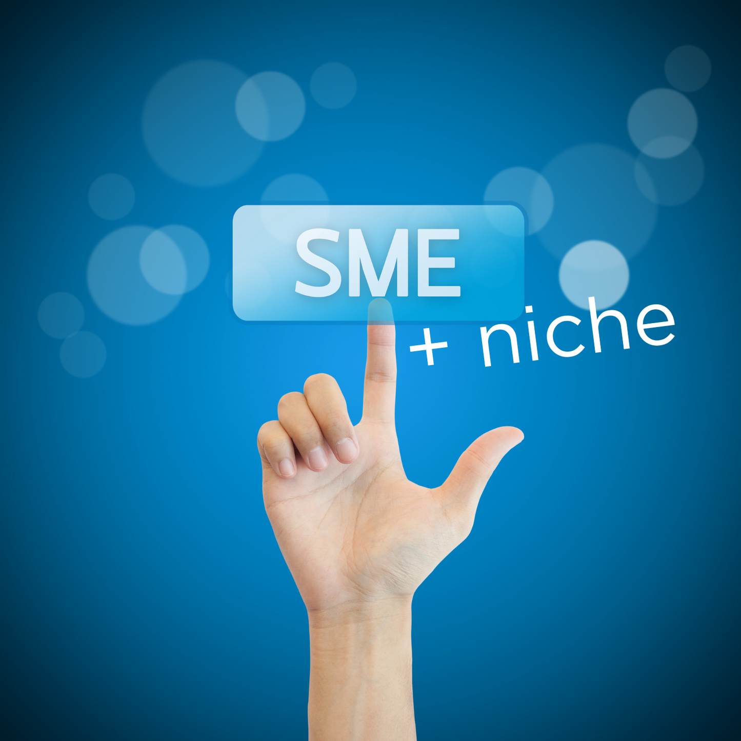 SME: Finding the Right Niche