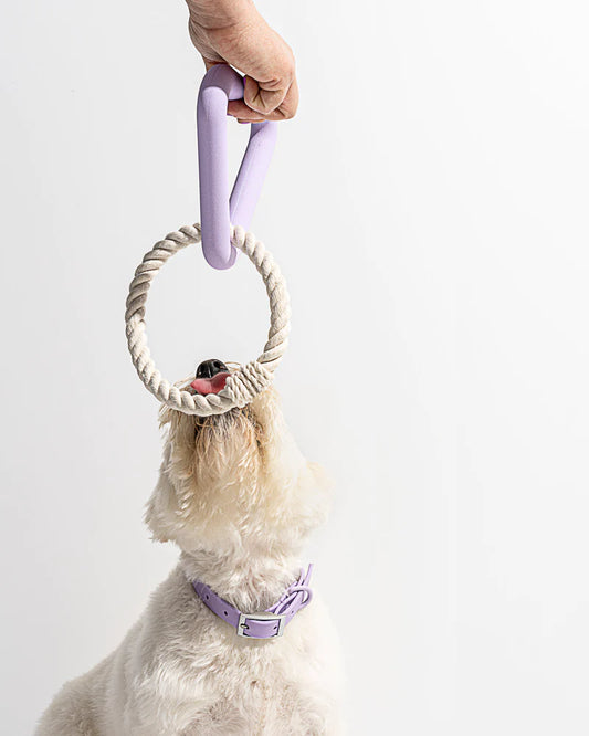 Lilac Triangle Tug Toy