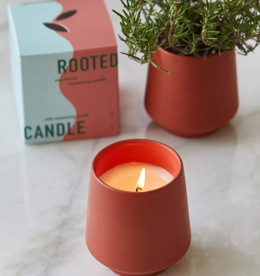 Rooted Candle - Rosemary