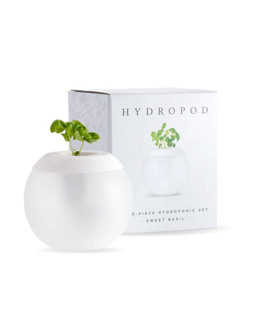 The Hydropod Sweet Basil